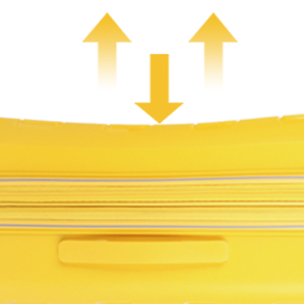 Цветной стиль PP-органа